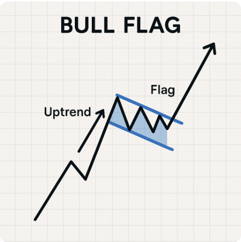 bull flag.png